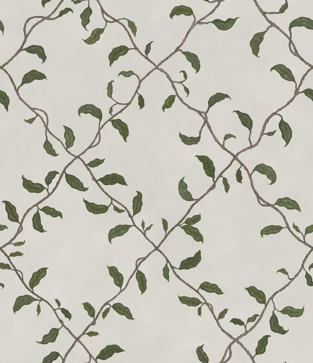 Emerald Trellis, Cloud