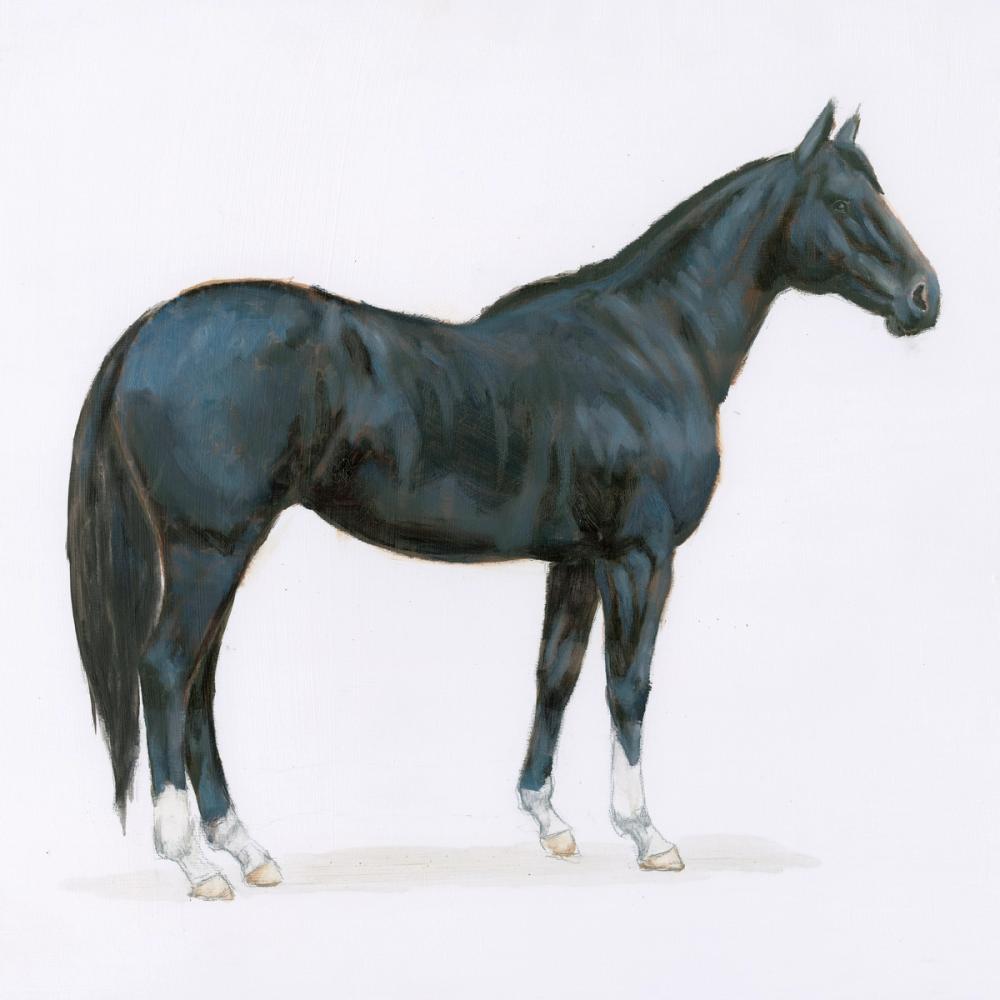 Black Horse