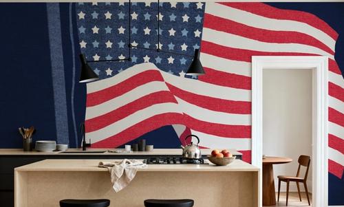Stars and Stripes Bless America