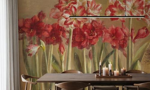 Winter Amaryllis