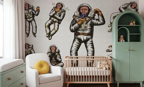 Space Monkey