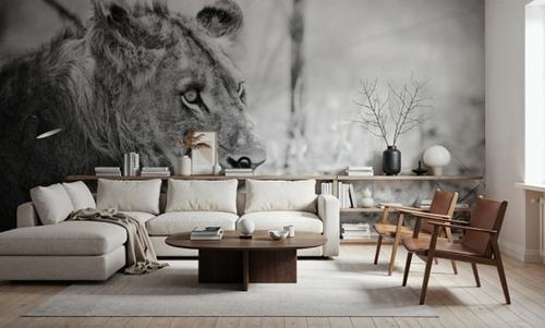 Young Lion BW
