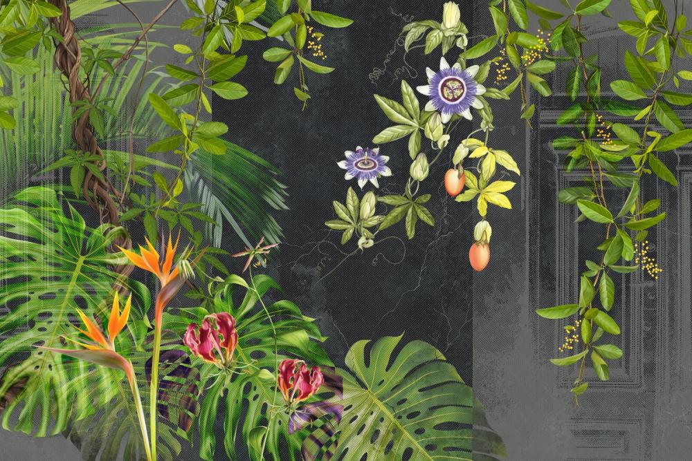  Dragons Fruit at Home