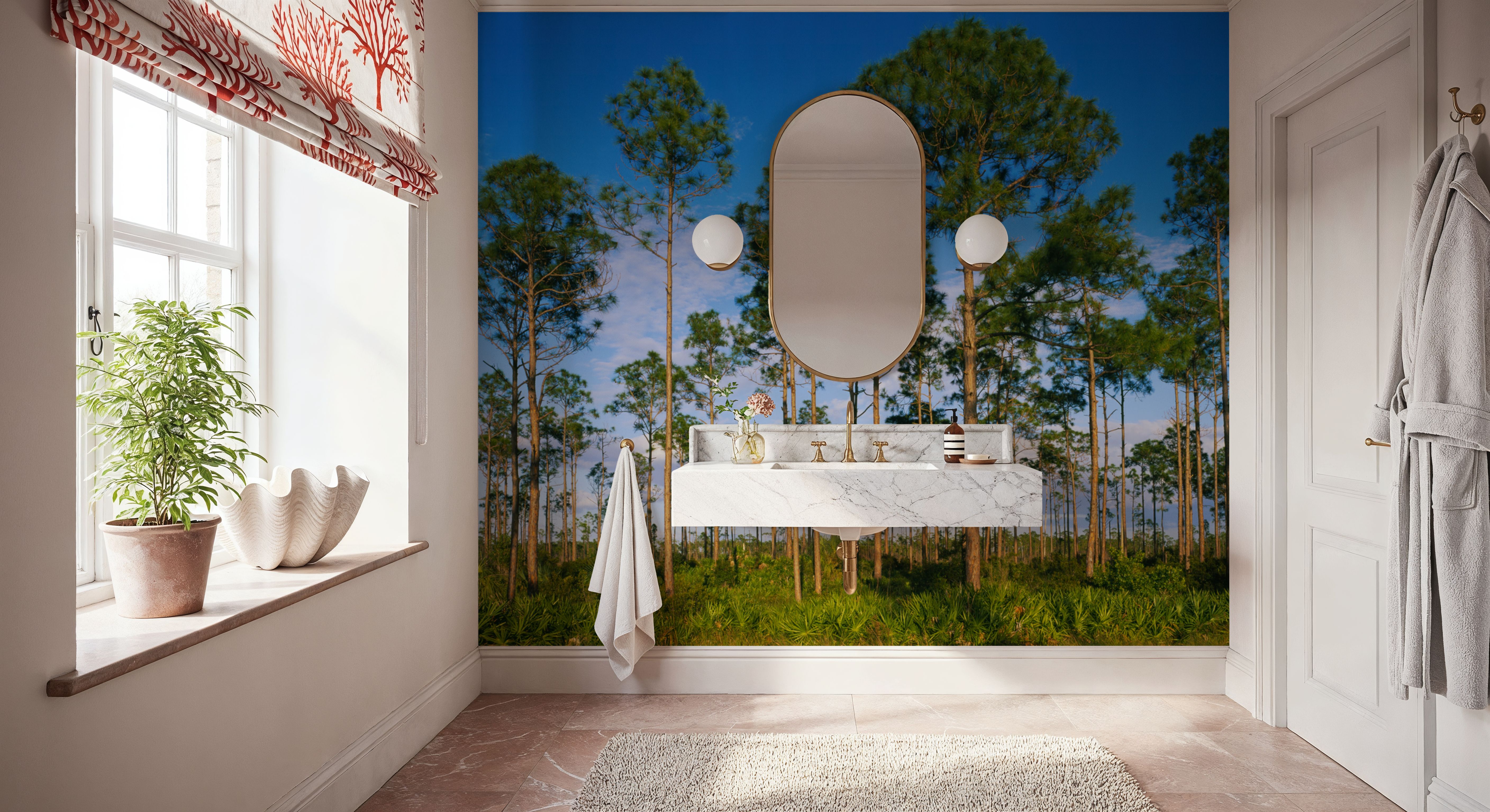 Everglades Tress in Daylight