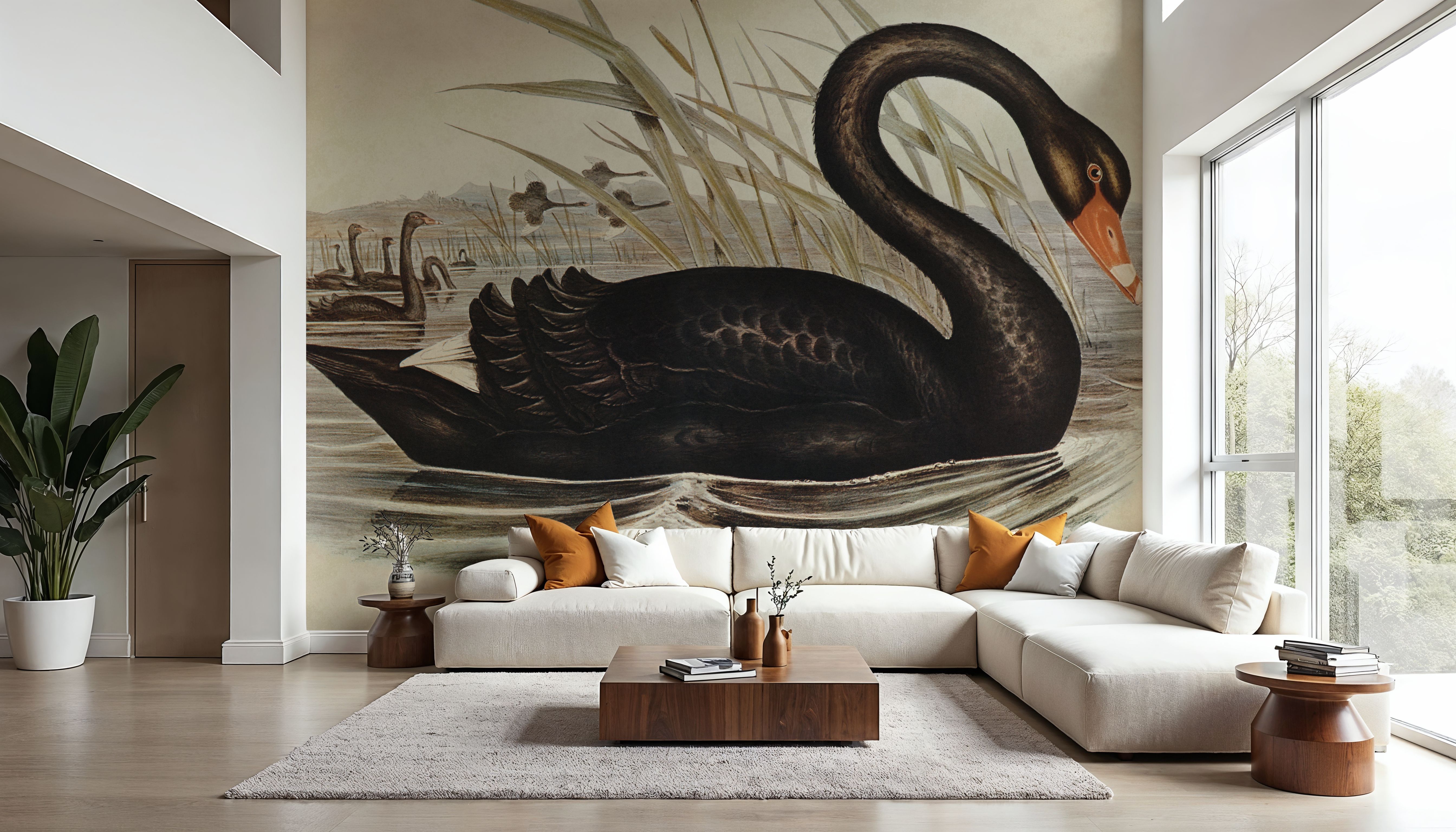 Black Swan Vintage Book Aged