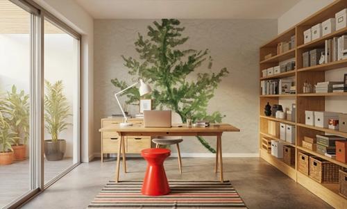 Kozo Fern I