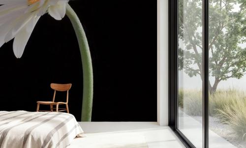 White Gerber Light