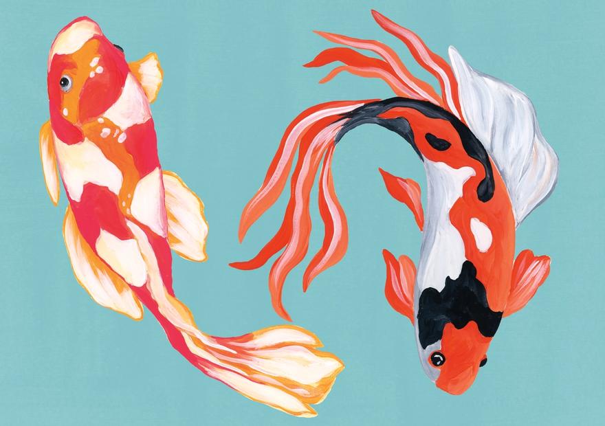 Colorful Koi V