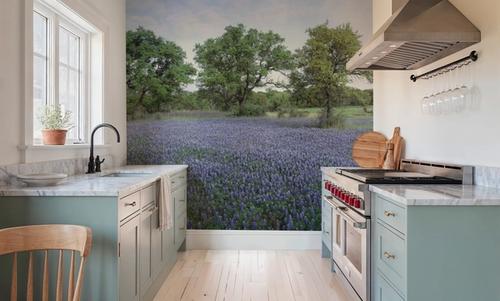 Texas Bluebonnet Paradise