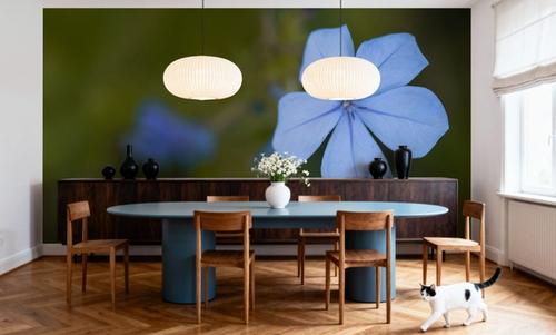Plumbago