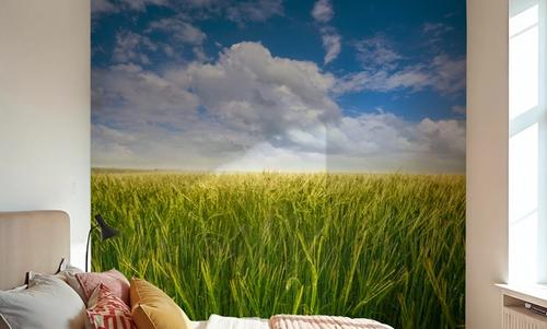 Prairie Breeze