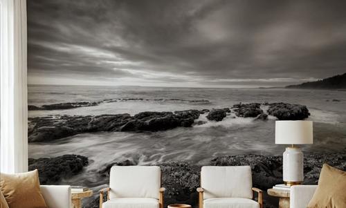 Kalaloch Beach