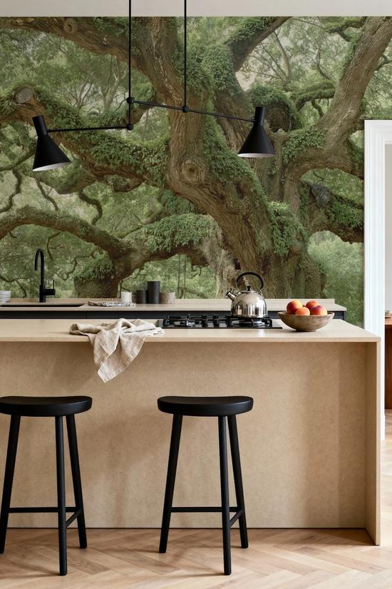 Angel Oak Tree