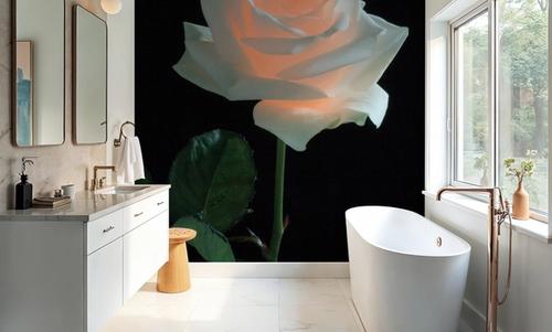 Rose Light