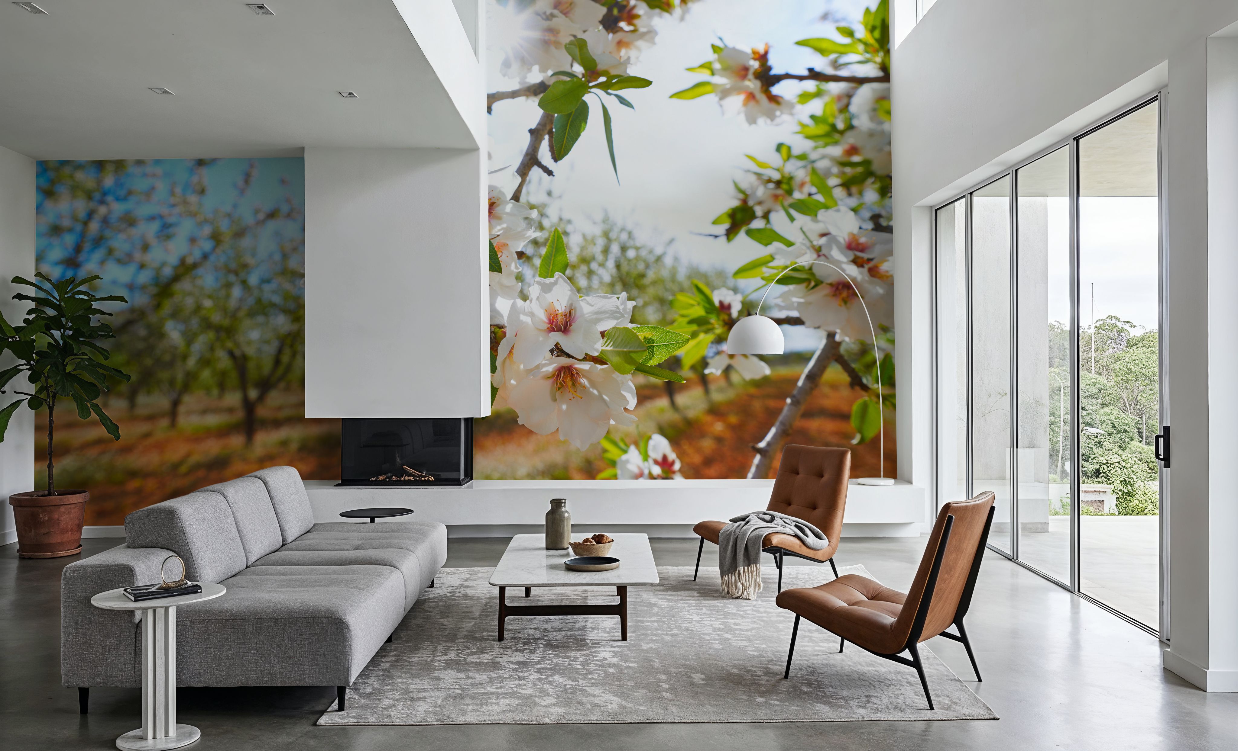 Almond Blossom Orchard