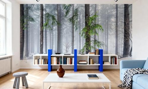 Cold Green Forest