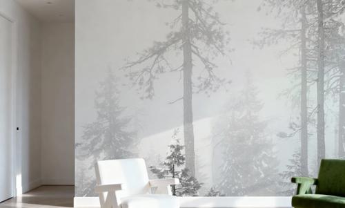 Trees in the mist
