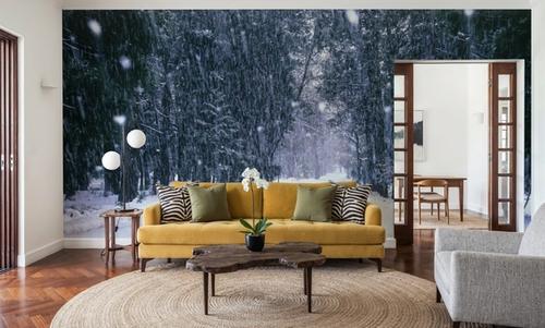 Winter Forest Path