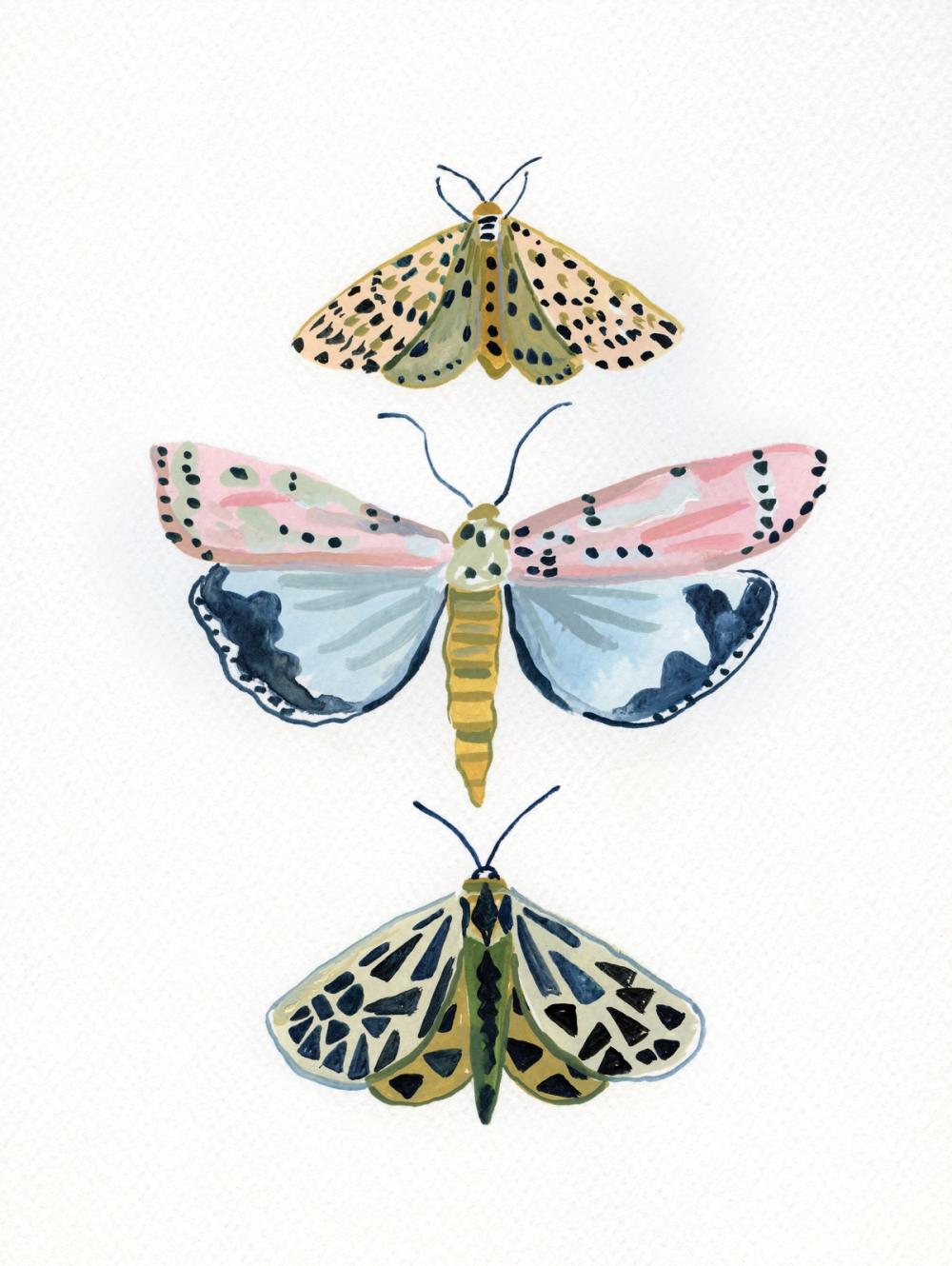 Pastel Moths I