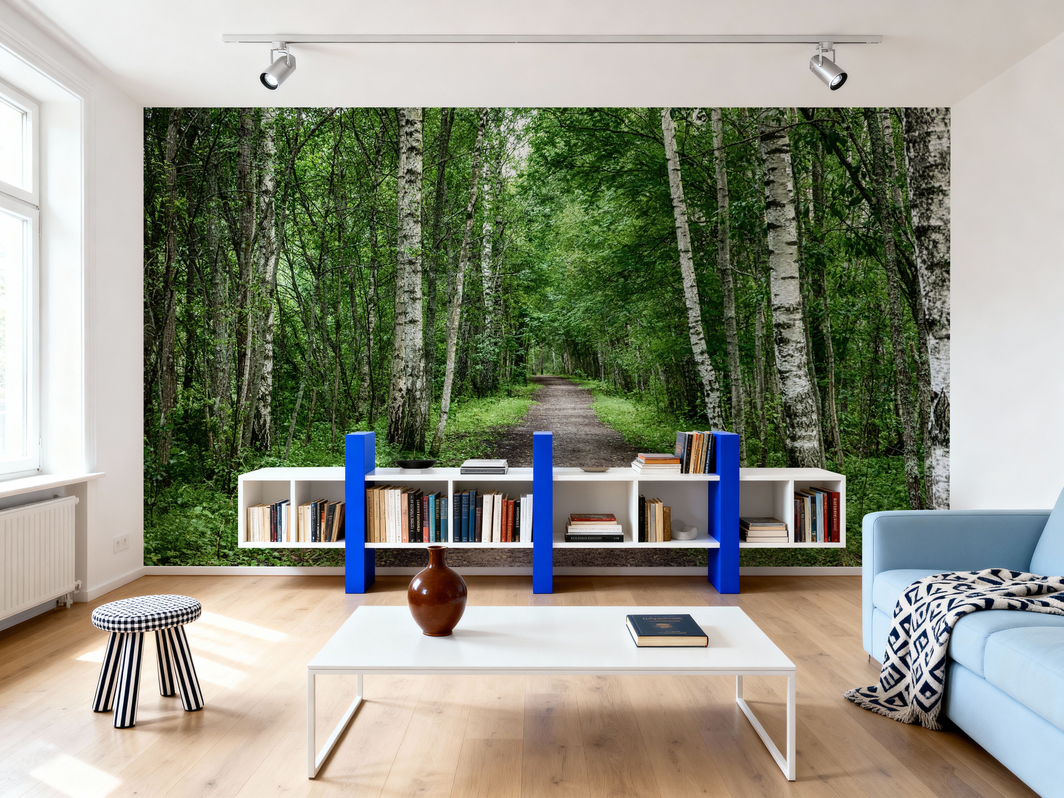 Dark Birch Forest