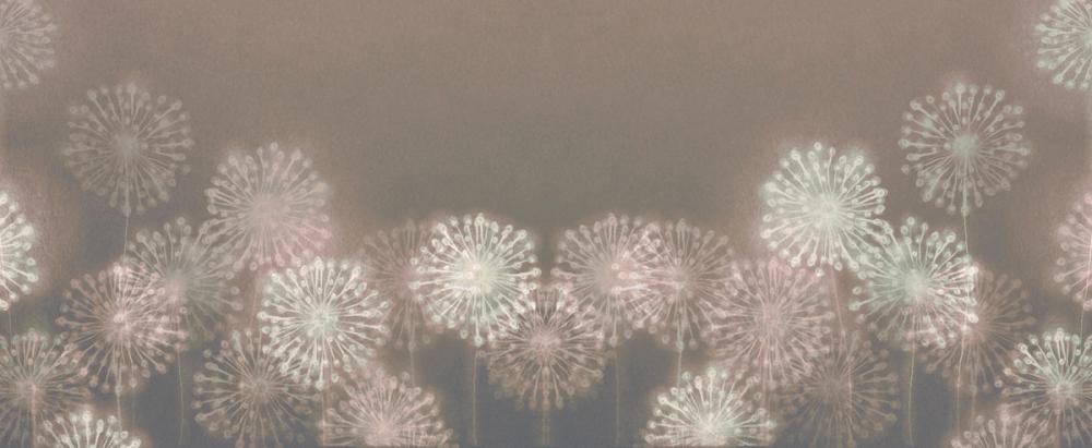 Harmony Allium Blooms