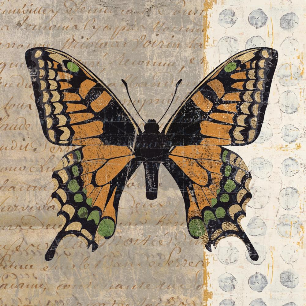 Belindas Butterfly IV