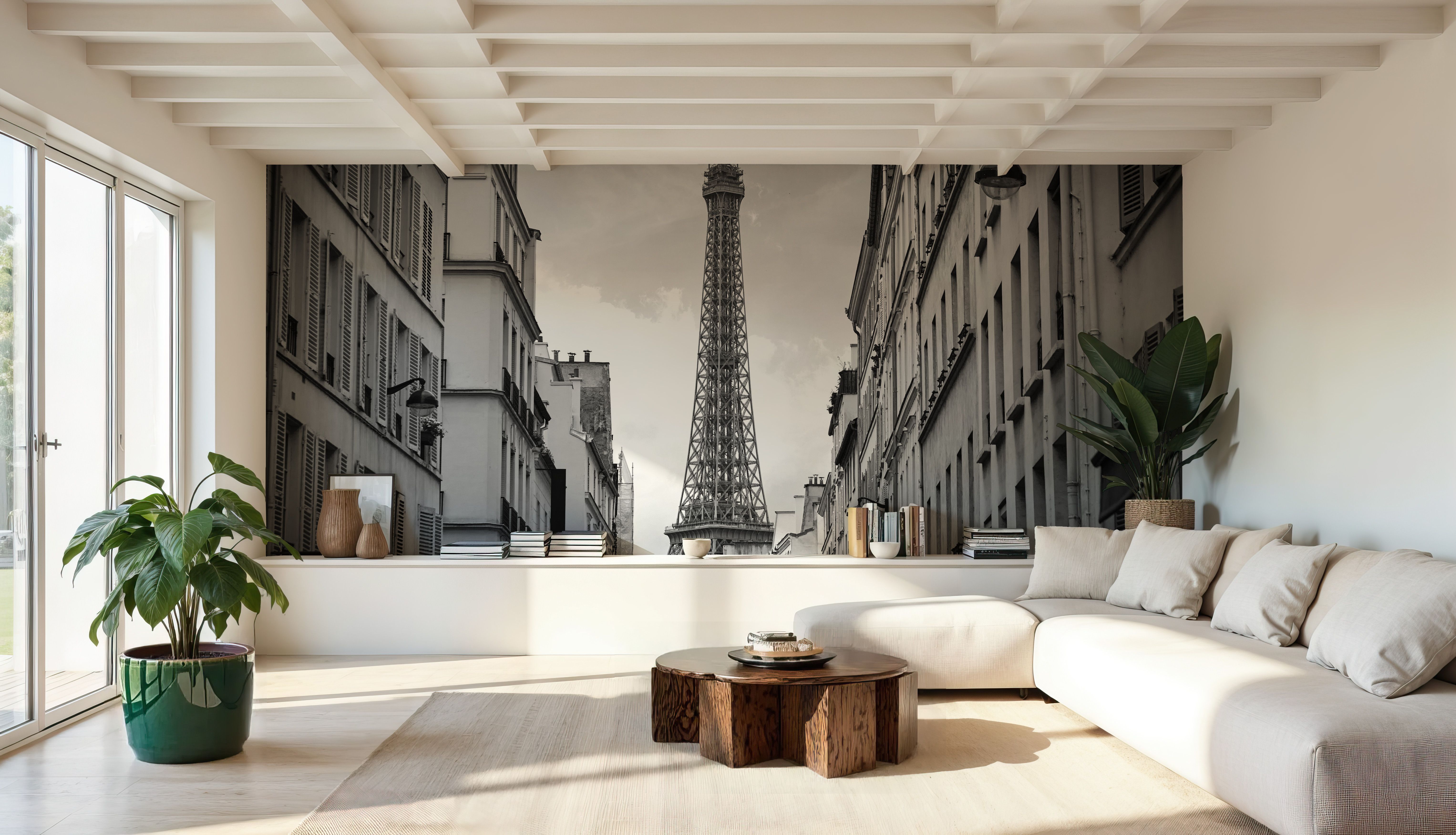 Eiffel Tower in Paris, Black & White