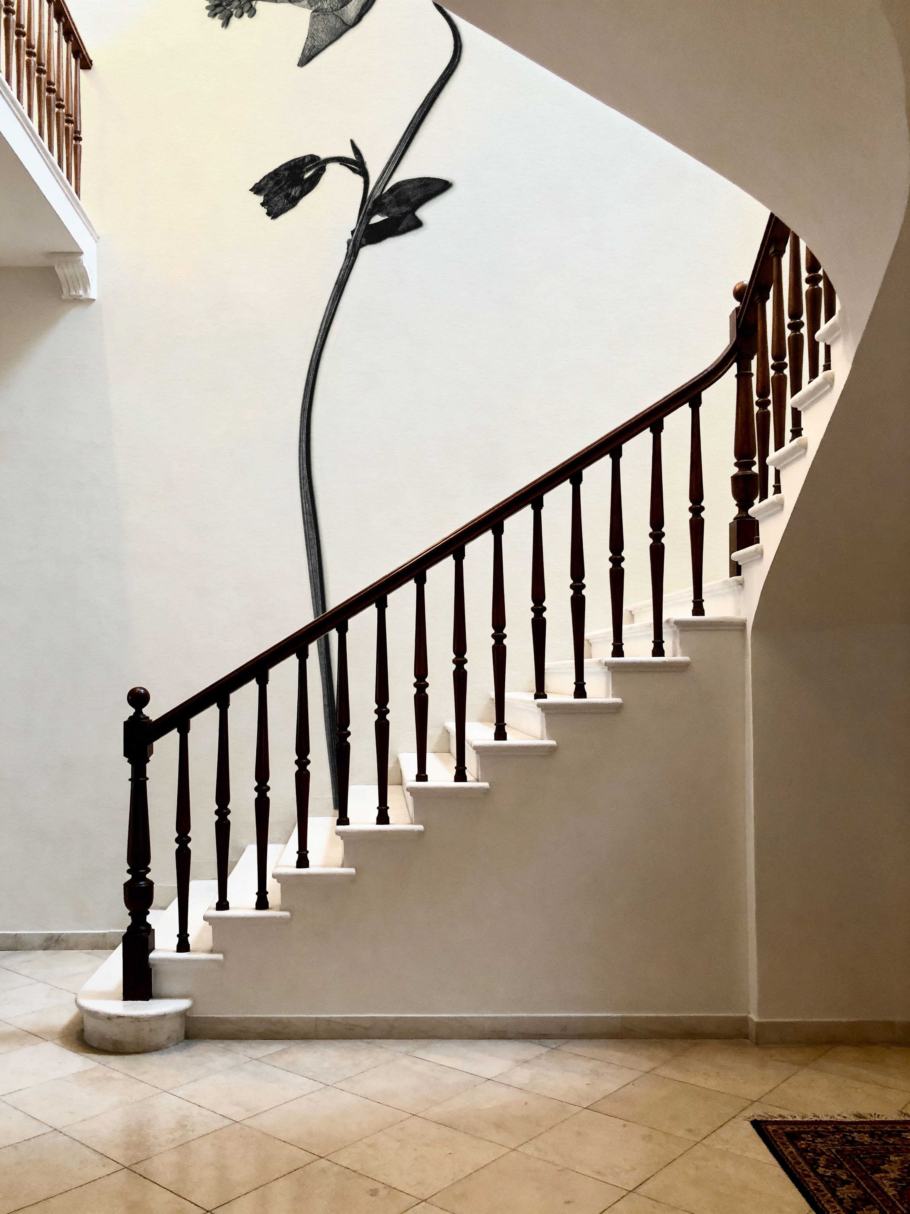 Field Journal Entry II