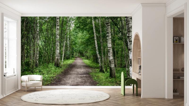 Dark Birch Forest wallpaper mural 100% PVC-free and non-toxic