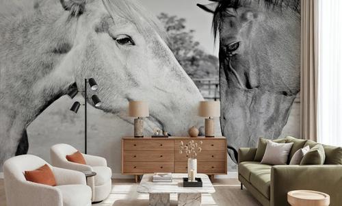 Two Horses BW