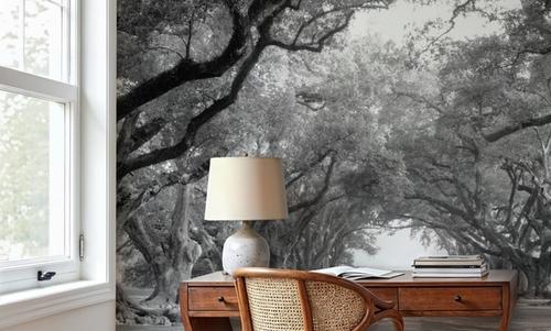 Timeless Oak Alley