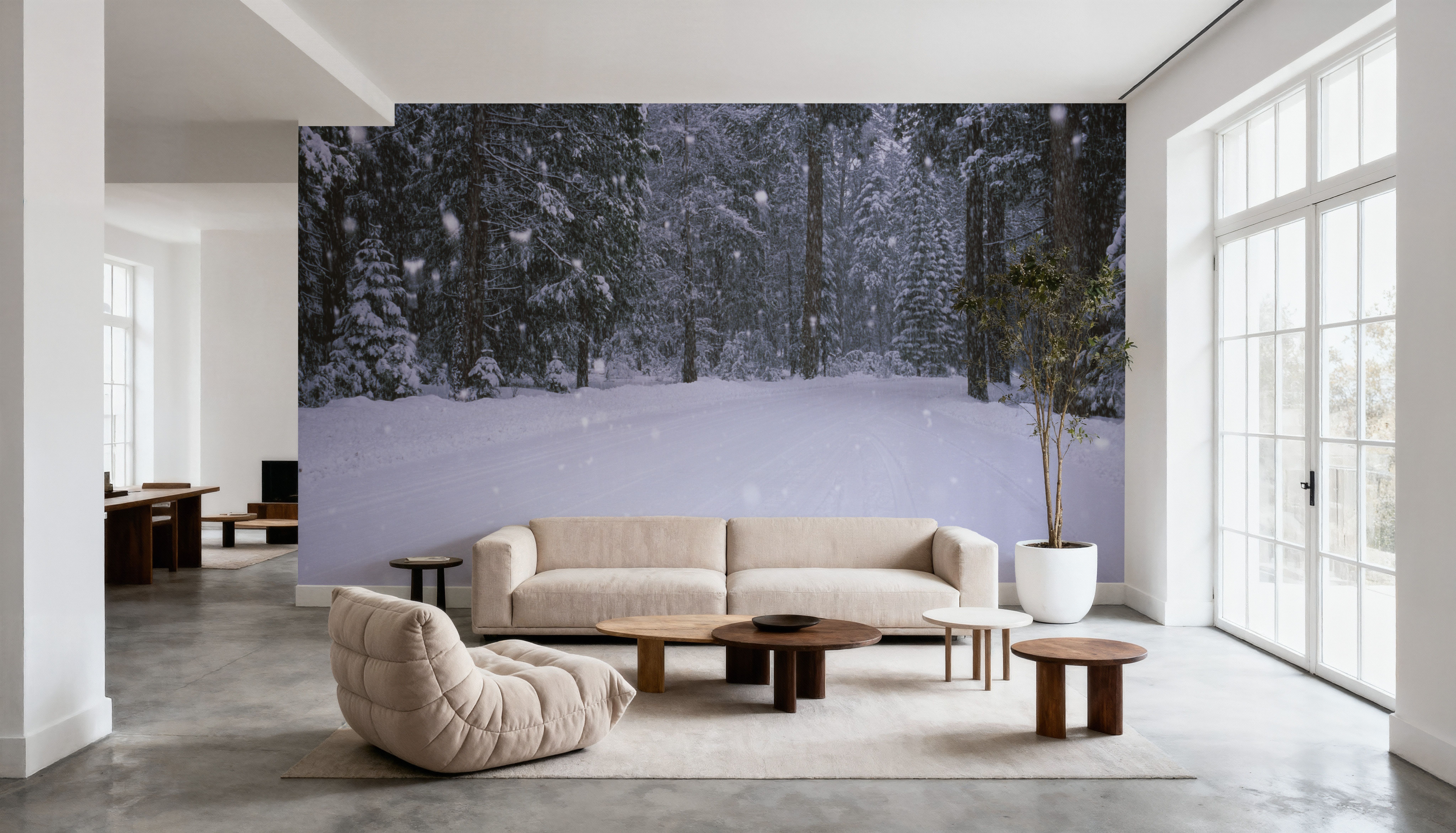 Winter Trail