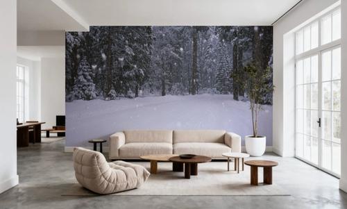 Winter Trail