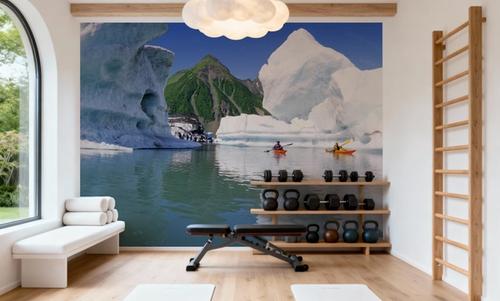 Glacial Expedition