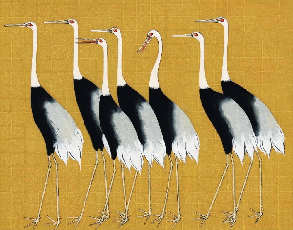 Flock of Traditional Japanese Red Crown Crane