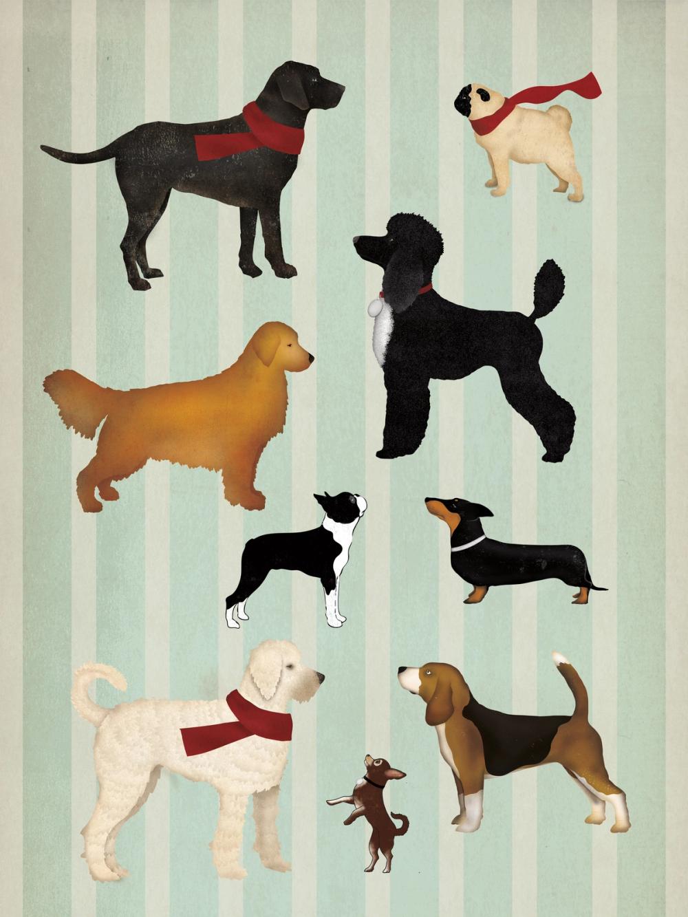 Dog Days Montage I