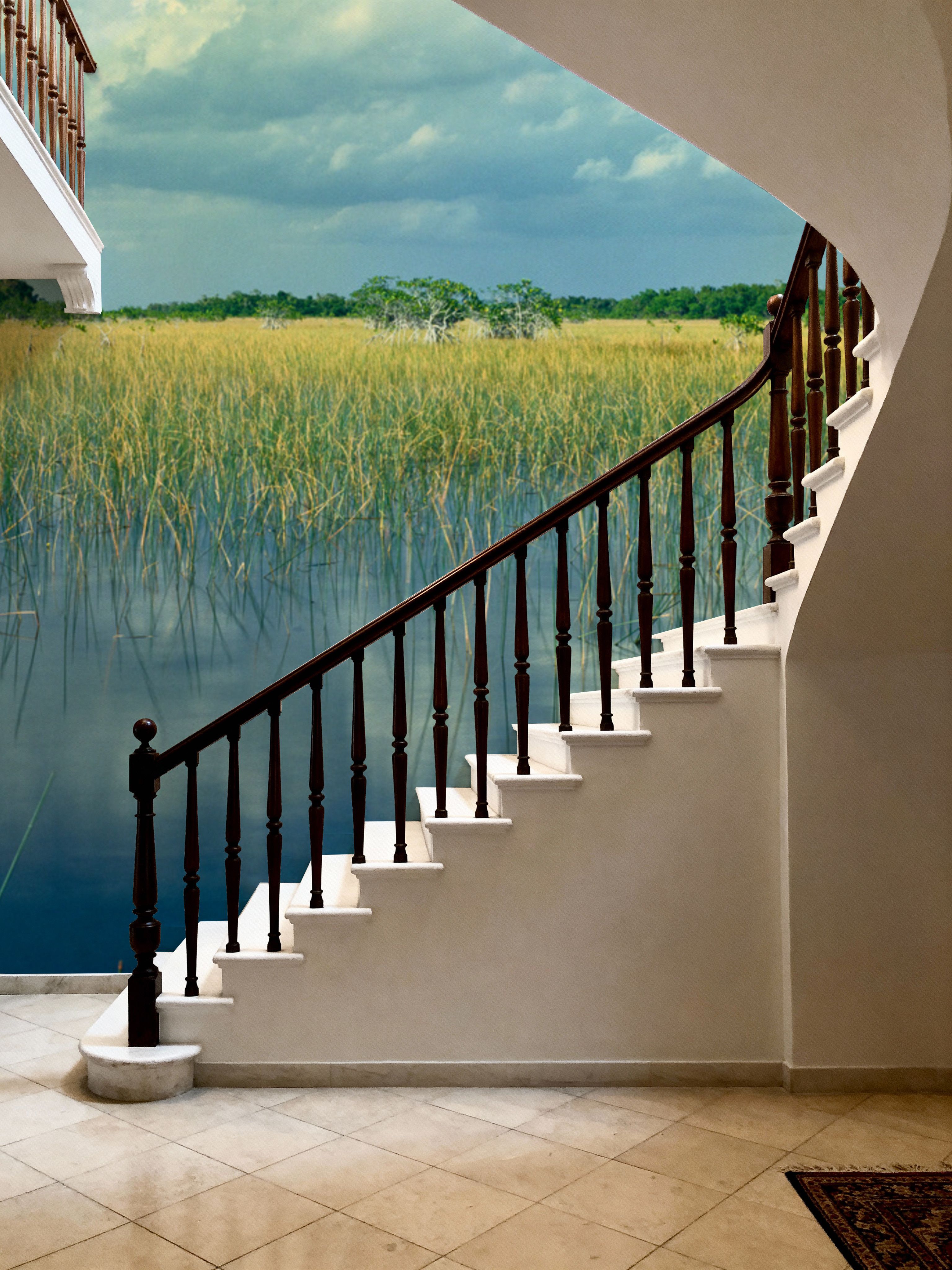 Everglades Mangrove
