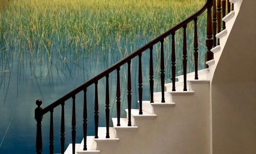Everglades Mangrove