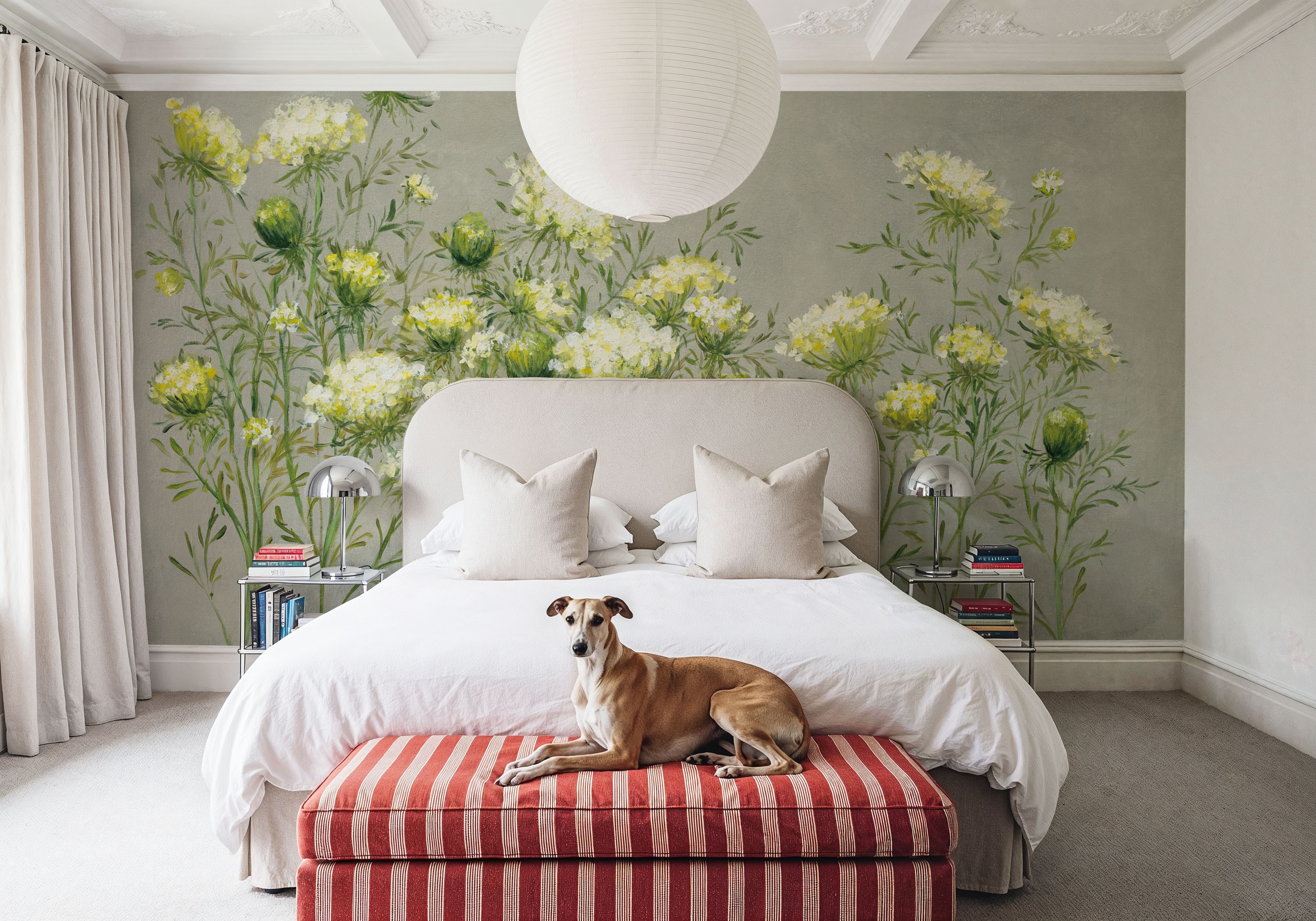 Queen Annes Lace, Papel pintado