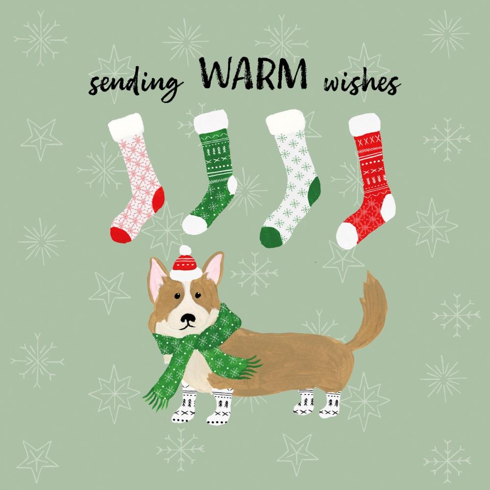 Puppy It's Cold Outside III