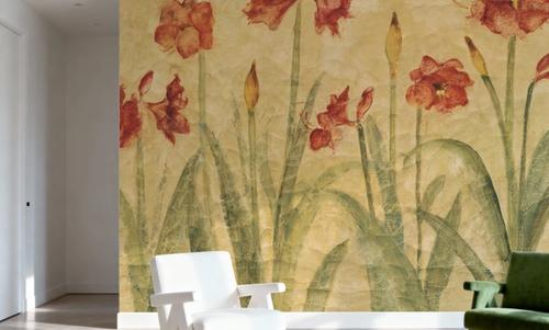 Amaryllis Row