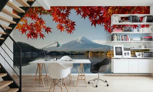 Mount Fuji Fall