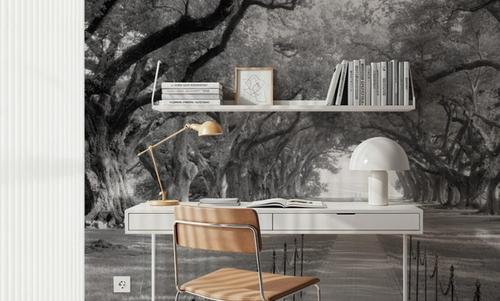 Oak Alley