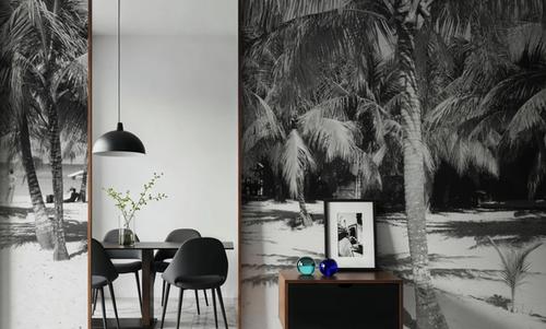 Palm Shadows