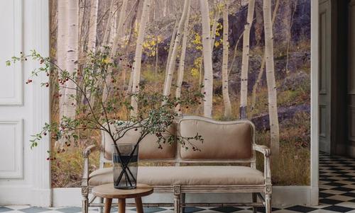 Aspen Grove Serenity