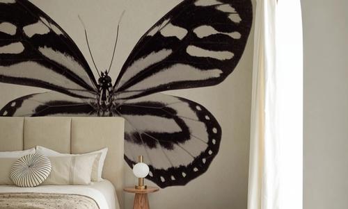 Butterfly VIII Gray