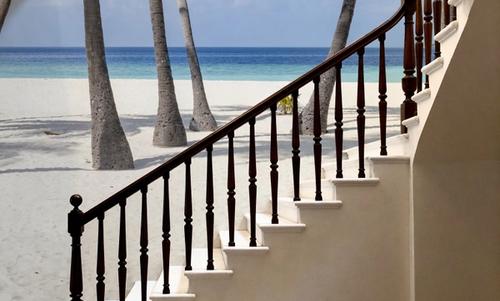 Palm Tree Beach
