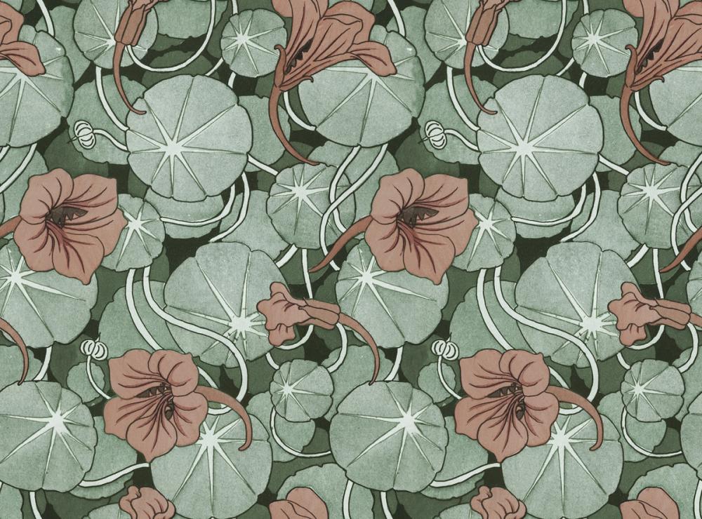 Nasturtium Verdure, Peachy Rose