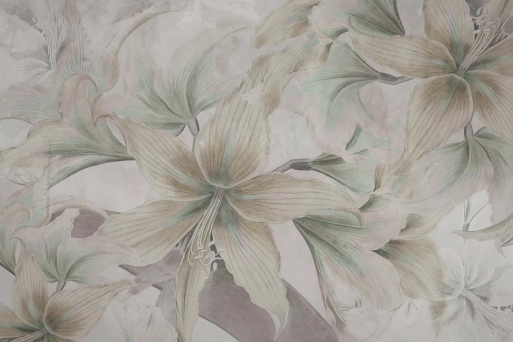  Amarantus dream Cool