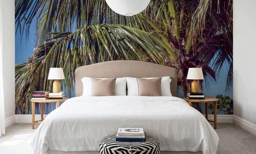 Tropical Paradise Palm